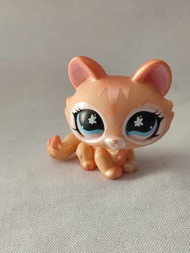 Gato Kittennaranja Brillosos  Littlest Pet Shops  Hasbro 11