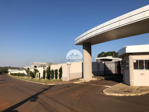 Imagem 4 de 11 de Terreno Em Condomínio À Venda, Jardim Maria Luiza - Cascavel/pr - 12577