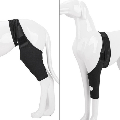 D Soporte De Rodilla Para Patas Traseras Para Perros, De