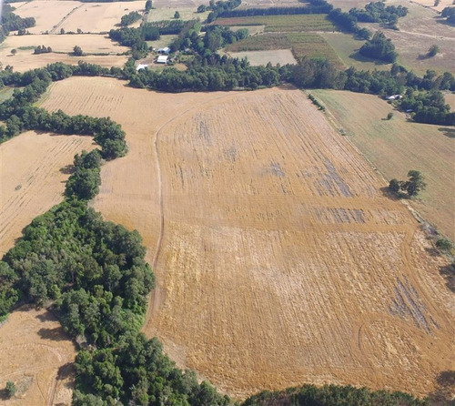 Imagen 4 de 15 de Agrícola En Venta En Ercilla