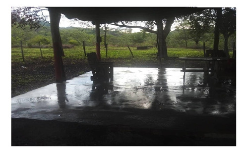 Imagen 3 de 14 de Se Vende Finca Agropecuaria - Cerca San Juan De Los Morros
