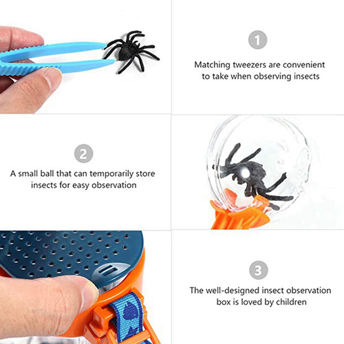 Kit De Lupa Y Observación De Insectos Para Exteriores Con Vi
