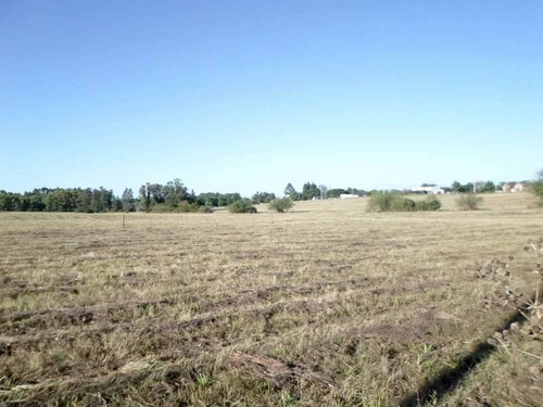 Terrenos O Lotes Venta Colonia