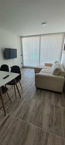 Depto Arriendo Marzo Diciembre 2025 1 Dorm 1 Baño La Serena