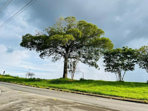 Imagem 7 de 11 de Terreno À Venda Em Condomínio Portal Do Jequitibá - Te116594