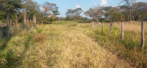 Imagen 23 de 26 de Finca En Apartadero - Cojedes