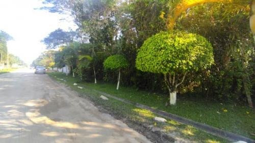 Imagem 3 de 6 de Terreno De Chácara Com 1650 Metros De Área Total Em Itanhaém