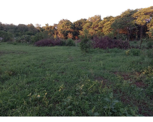 Imagem 11 de 18 de Chácara Com 2 Dormitórios À Venda, 10000 M² Por R$ 750.000,00 - Loteamento Porto Dourado - Foz Do Iguaçu/pr - Ch0020