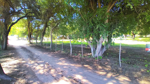 Terreno En  Cruz Del Eje Paraje El Pantanillo