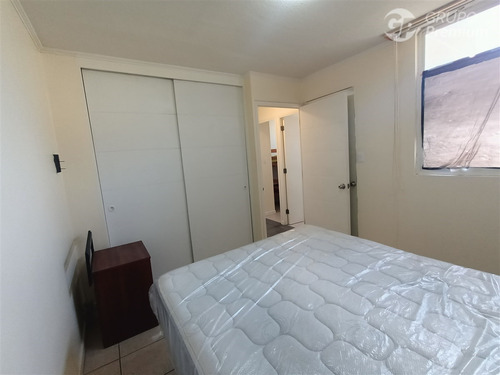 Departamento En Arriendo De 3 Dorm Un Baño. En La Serena