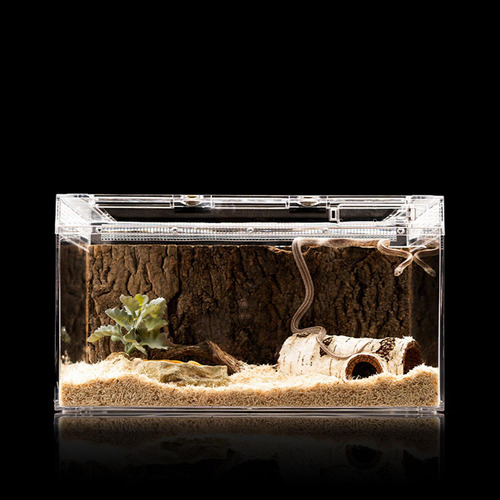 Terrario Para Reptiles, Tanque, Caja De Alimentación De