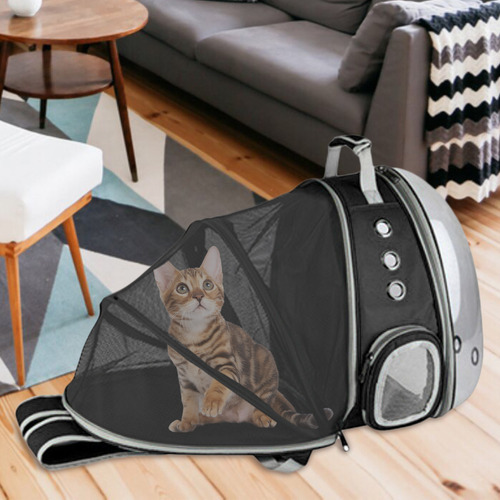 Portador De Gato Expandible, Mochila De Burbuja Transparente