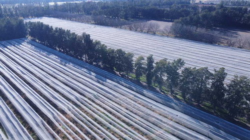 Venta De Campo 15 Hectareas En Lima Zarate Permuta