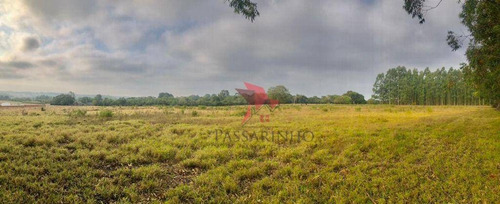 Imagem 4 de 5 de Chácara À Venda, 50000 M² Por R$ 1.570.000,00 - Faxinal - Torres/rs - Ch0065
