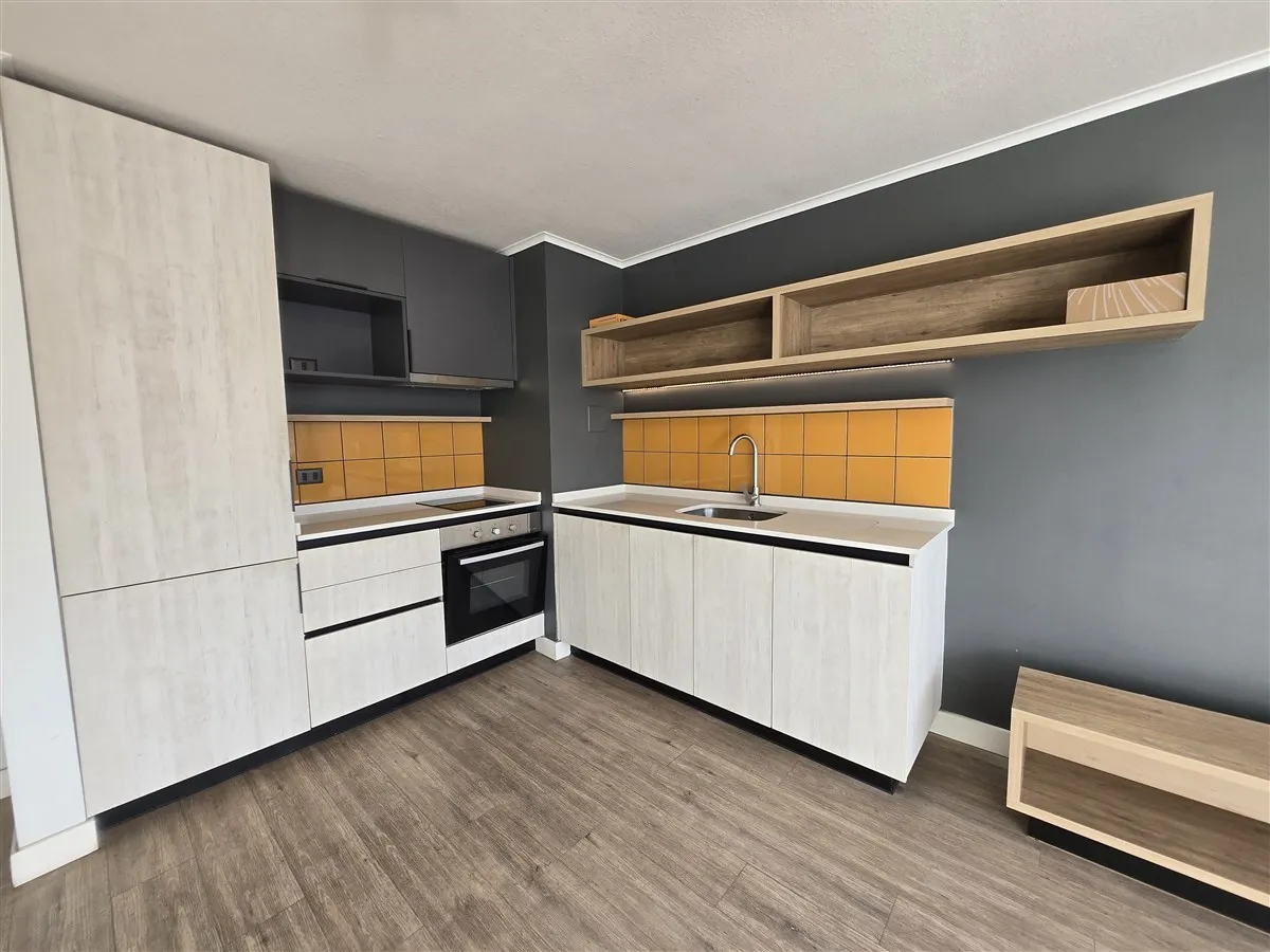 Imagen 3 de 30 de Departamento En Arriendo En Ñuñoa