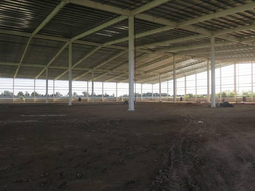 Imagen 1 de 5 de Nave Logística En Alquiler 11.000 M2 - Zárate