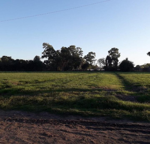 Lote En Venta En Virrey Del Pino