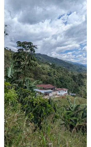 Venta Finca Cordoba - 3.5 Hectareas