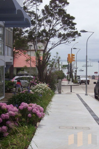 Imagen 22 de 30 de Apartamento En Punta Del Este, Peninsula