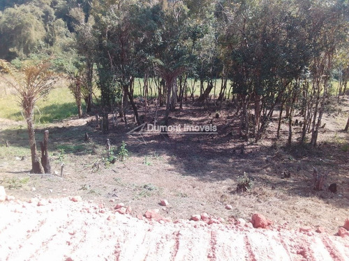 Imagem 2 de 4 de Lindo Terreno Na Vargem Do Salto. Cod 364.