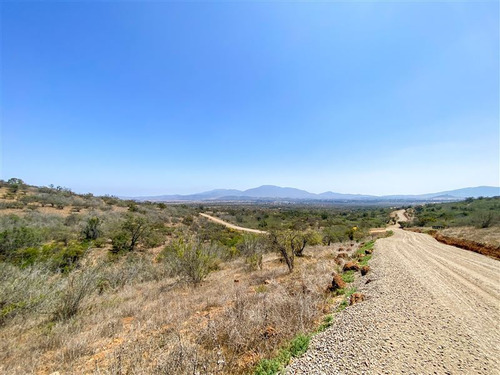 Imagen 26 de 29 de Sitio En 3 Has En Venta - Catapílco, Zapallar