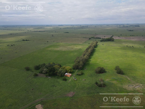 Imagen 10 de 25 de Campo Mixto De 75 Has - Buen Acceso A 3 Km De Ruta 215 - A 1 Hs De Caba
