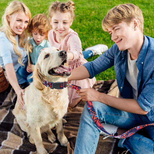 Pawhuggies Juego De Collar Y Correa Para Perro Estilo Bohemi