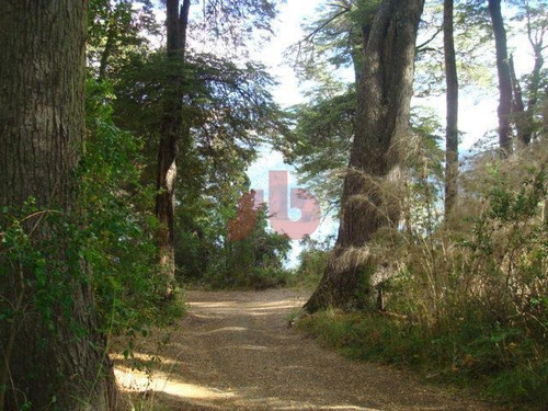 Imagen 10 de 20 de Terreno Sobre Costa Del Lago Moreno - El Trébol
