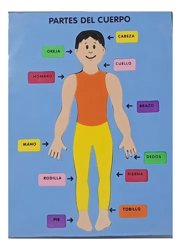 Encaje Cuerpo Humano Todo Goma Eva Figura Humana