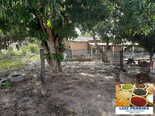 Imagem 14 de 15 de Fazenda À Venda No Vale Do Araguaia / Divinópolis - To - (dupla Aptidão) - 1705