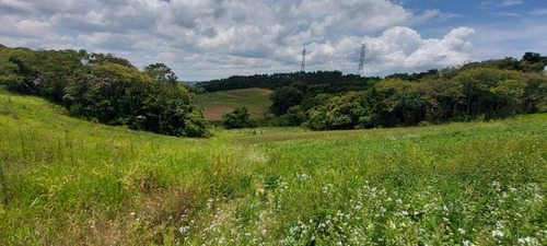 Imagem 13 de 20 de Vendo Terreno Com Otima Topografia / 15o