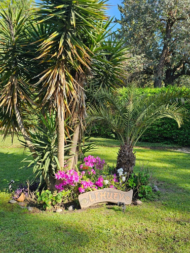 Alquiler Quinta Zona Norte Pilar