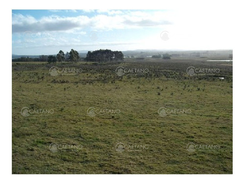 Vendo Chacra 5 Hectareas, A Metros De Ruta 12, Entre Solanas Y Ruta 9.