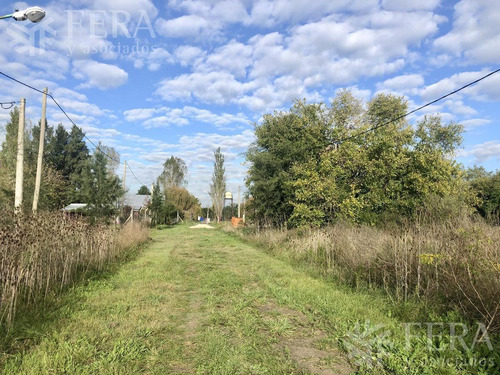 Venta De Terreno En Arturo Segui (27767)