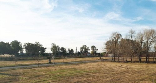 Imagen 2 de 7 de Terreno - Santa Isabel