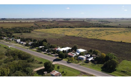 Imagen 22 de 30 de Molino Doll, Campo De 9 Hectáreas Con Casa, Sobre Ruta Y Con Costa De Arroyo