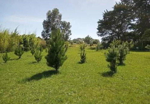 Terreno En Venta - 6.275mts2 - Tandil