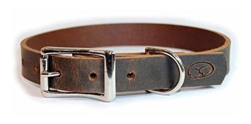 Collar De Perro De Piel Gruesa De Grano Completo Sueño Cach