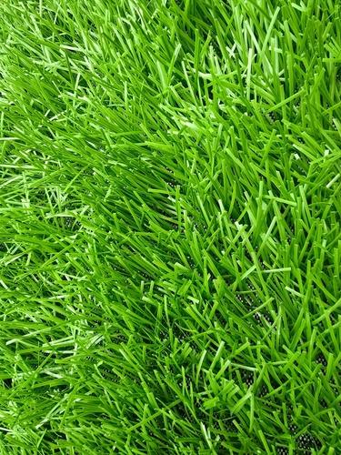 Césped Deportivo Sintético Monofilamento Futbol 50mm 100m2 Verde