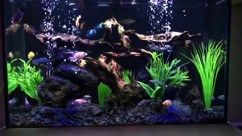 Imagen 9 de 10 de Bomba De Aire Para Acuario Marina 300 + Delivery