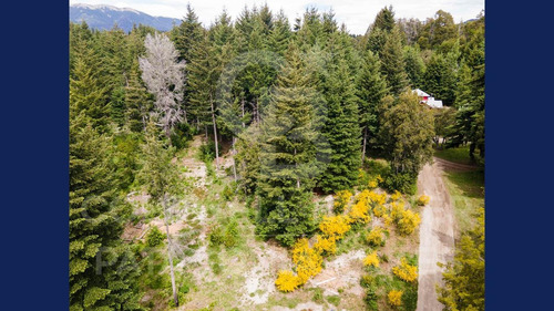 Imagen 4 de 19 de Venta Lote/terreno 3035m2 Barrio Puerto Nahuel - A Metros Del Lago Nahuel Huapi, Villa La Angostura