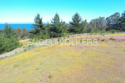 Excelente Terreno En Punta De Lobos