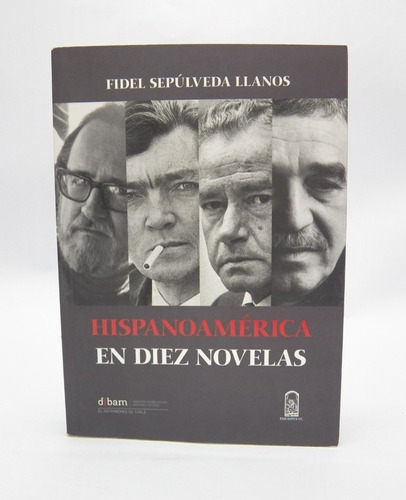 Libro Hispanoamérica En Diez Novelas/ Fidel Sepúlveda Llanos