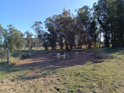 Vendo Muy Lindo Campo Con 2 Tajamares Para Riego, Alambrado, Pozos, Cañada, Monte, Financio Consulte
