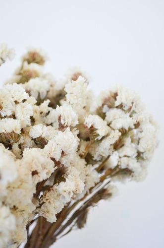 Ramo Flores Secas Estatis Blanco White