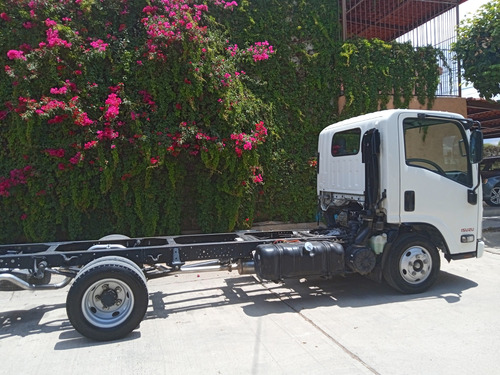 Isuzu Elf 300 2020 Chasis Largo 3.5 Toneladas