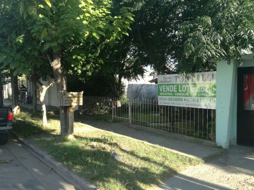 Imagen 2 de 7 de De La Corvina