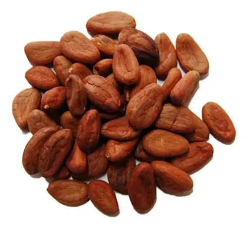 Cacao Seco En Grano Organico 1 Kg