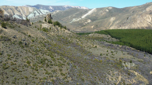 Venta Campo 100 Ha Costa De Río Ñirihuau - Colonia Nahuel Huapi