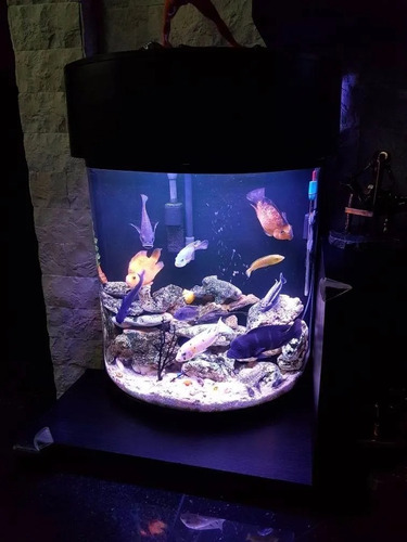 Lampara Barra Led Acuario 50-70cm 27w Maximo 1900 Lumenes